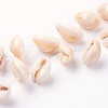 Natural Cowrie Shell Beads Strands X-BSHE-L036-32E-03-1