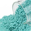 TOHO Round Seed Beads SEED-TR11-0055-1