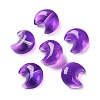 Baking Paint Transparent Glass Beads DGLA-F003-01L-1