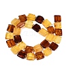Natural Amber Beads Strands G-N371-15B-01-3
