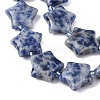 Natural Blue Spot Jasper Beads Strands G-K359-E11-4