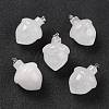 Natural Quartz Crystal Pendants G-M393-01P-08-1