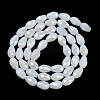 Opaque Solid Color Electroplate Glass Beads Strands EGLA-N013-J6mm-B03-2