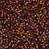 MIYUKI Delica Beads SEED-X0054-DB1750-3