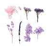 Dried Flowers DIY-D052-11-2