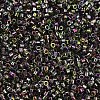 MIYUKI Delica Beads X-SEED-J020-DB2205-3