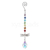 Crystal Glass Sun Catcher Pendant PW-WG24D91-02-1