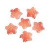 Imitation Candy Food Style Resin Cabochons X1-RESI-R461-02B-1