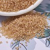 MIYUKI Delica Beads SEED-JP0008-DB0852-1