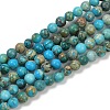 Dyed Natural Regalite/Imperial Jasper/Sea Sediment Jasper Beads Strands G-B124-C04-10-1