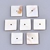 Natural Freshwater Shell Beads SHEL-S276-109B-01-1