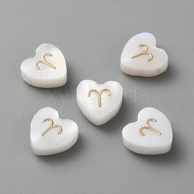 5Pcs Natural White Shell Beads BSHE-TAC0004-02C-1