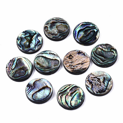 Natural Abalone Shell/Paua Shell Beads SSHEL-T014-14E-1