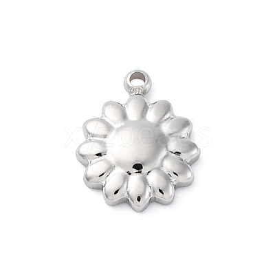 304 Stainless Steel Charms STAS-S163-08A-P-1