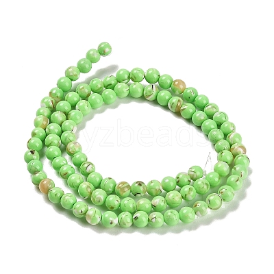 Assembled Synthetic Stone and Trochus Shell Beads Strands G-B128-08A-07-1