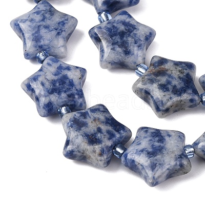 Natural Blue Spot Jasper Beads Strands G-K359-E11-1