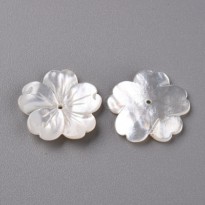 Natural White Shell Mother of Pearl Shell Beads X-SSHEL-R144-10-1