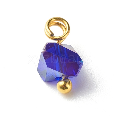 Electroplate Glass Charms PALLOY-JF00821-01-1