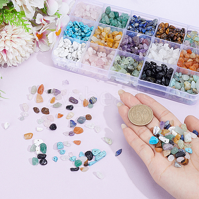 15 Styles Natural & Synthetic Mixed Gemstone Chips Beads G-PA0002-01-1
