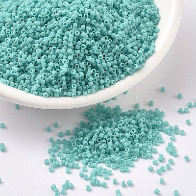 MIYUKI Delica Beads SEED-MY11-DB1136-1