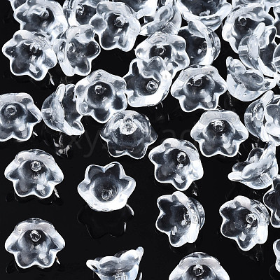 Transparent Glass Beads GLAA-Q089-002C-001-1
