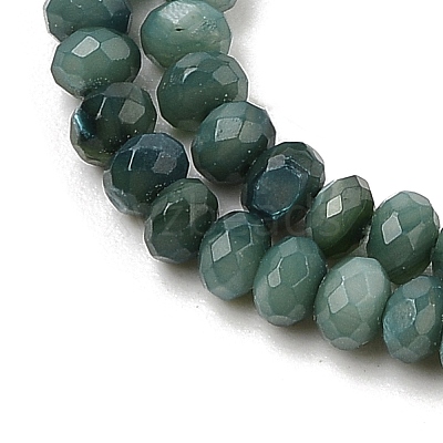 Natural Freshwater Shell Dyed Beads Strands SHEL-R100-13A-05-1