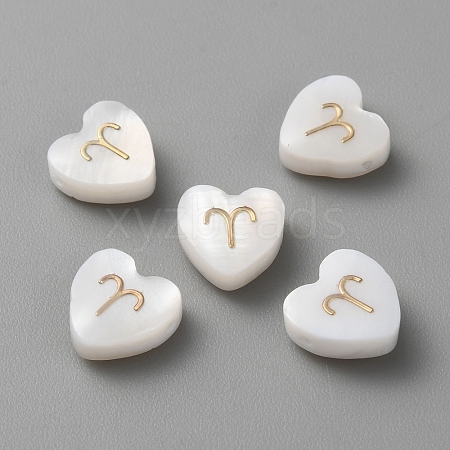 5Pcs Natural White Shell Beads BSHE-TAC0004-02C-1