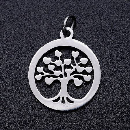 304 Stainless Steel Pendants LS-STAS-T046-JA350-1A-P-1