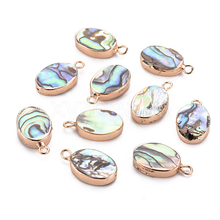 Electroplated Natural Abalone Shell/Paua Pendants SSHEL-T014-22-1