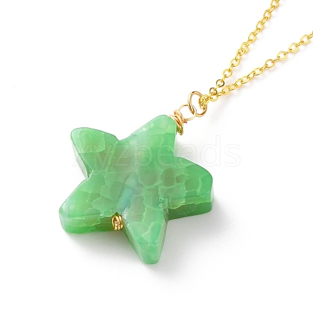 Natural Agate Star Pendant Necklaces NJEW-JN03238-04-1