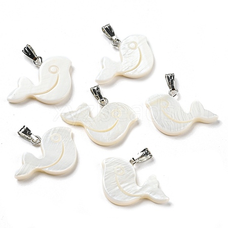 Natural Freshwater Shell Pendants PALLOY-Q462-04P-1