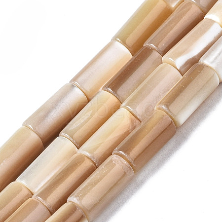 Natural Trochid Shell/Trochus Shell Beads Strands SSHEL-S266-020B-04-1