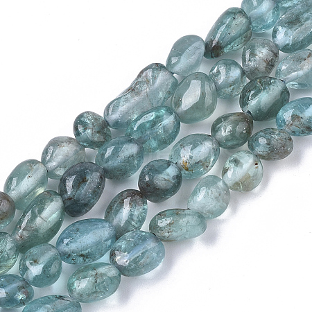 Natural Apatite Beads Strands G-S362-042-1