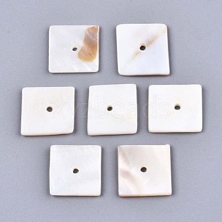 Natural Freshwater Shell Beads SHEL-S276-109B-01-1