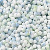 Baking Paint Glass Seed Beads SEED-F005-01A-13-3