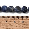 Natural Sodalite Beads Strands G-Q462-8mm-07-6