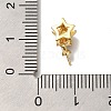 Star Brass Paua Shell Cup Pearl Peg Bails Pin Pendants KK-K389-144G-3