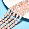 Oval Natural Cultured Freshwater Pearl Beads Strands PEAR-R015-44-5