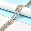 Natural Labradorite Beads Strands LS-G-I341-11-3