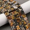 Natural Map Stone Beads Strands X-G-T139-8x8-45B-1