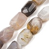 Natural Botswana Agate Beads Strands G-F796-C03-01-2
