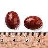 Natural Red Jasper Cabochons G-G145-01B-26-3