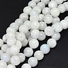 Natural Rainbow Moonstone Beads Strands G-F602-03-12mm-1