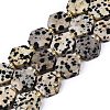 Natural Dalmatian Jasper Beads Strands G-N368-01A-03-2