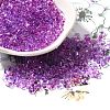 Transparent Baking Paint Glass Seed Beads SEED-A033-06A-17-1