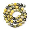 Natural Yellow Turquoise(Jasper) Beads Strands GSR007-3