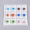 Luminous Handmade Lampwork Pendants LAMP-S189-03-B-1