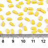 2-Hole Glass Seed Beads SEED-S031-M-SH42-2