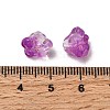 Transparent Glass Beads GLAA-D304-01D-3