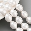 Electroplated Shell Pearl Beads Strands BSHE-H110-01-03-3